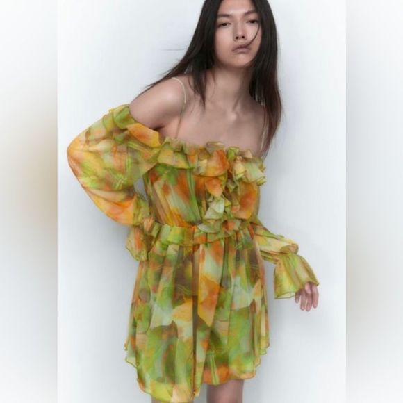 ZARA Printed Tulle Dress - Picture 14 of 14